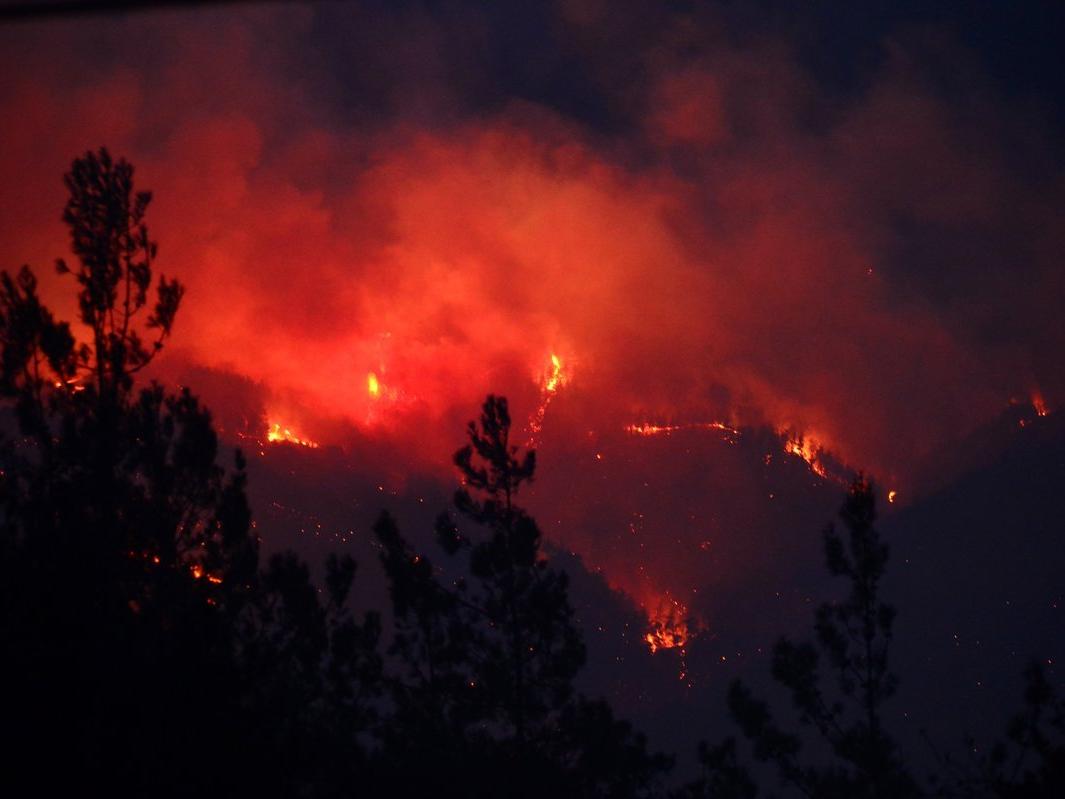 Adana'daki orman yangını kontrol altına alındı, 3 kişi gözaltında
