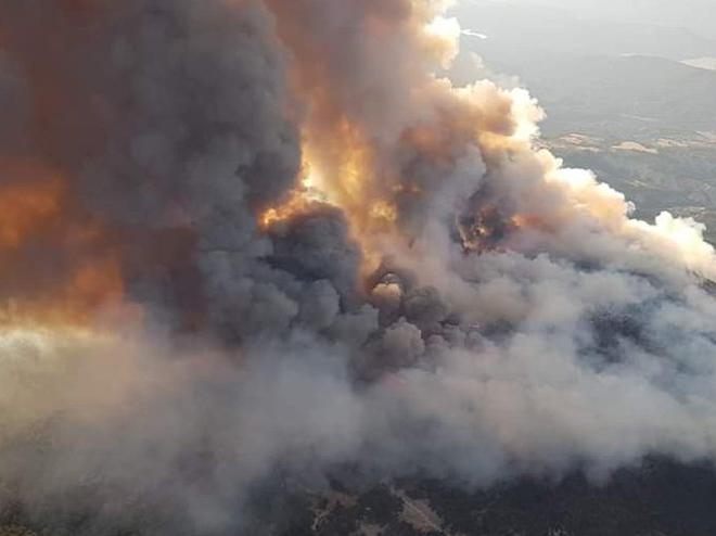 Ankara'daki orman yangını kontrol altına alındı
