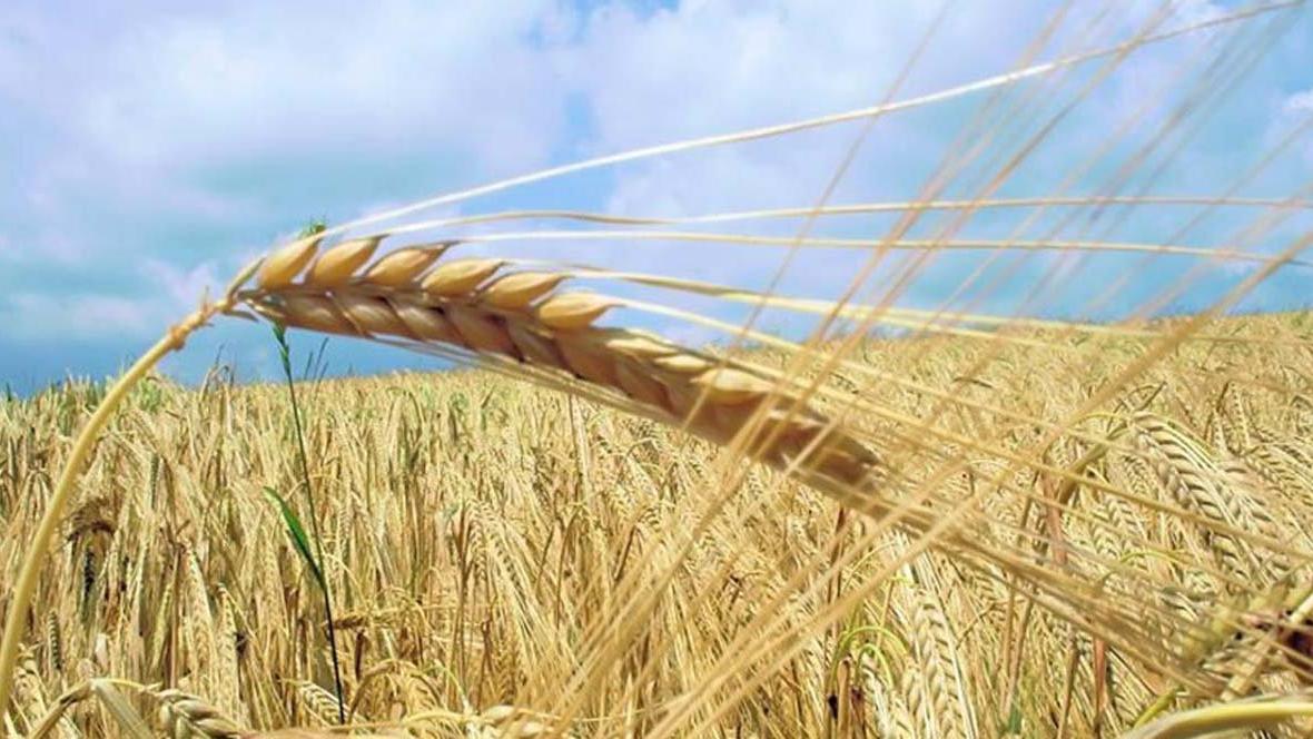 Komşu sıfırladı Türkiye tam gaz