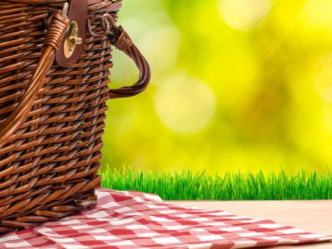 Erzincan'daki tüm alanlarda piknik yapılması yasaklandı!