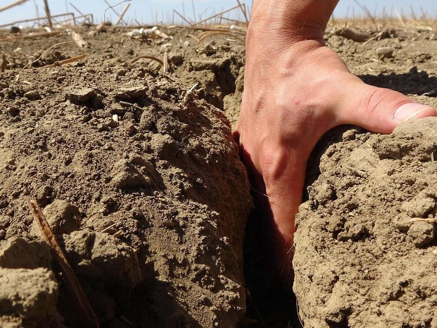 Edirne'de kuraklık toprakları çatlattı, çiftçi ekim yapamıyor