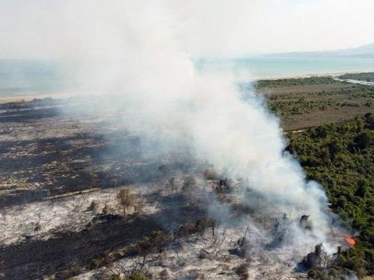 UNESCO Dünya Mirası listesindeki Kızılırmak Deltasında çıkan yangında kundaklama şüphesi