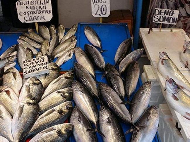 Eylül ayında lezzetli olan balıklar... Hangi balık hangi ayda yenir?