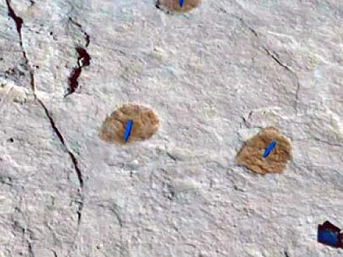 Suudi Arabistan'da 120 bin yıllık ayak izleri bulundu