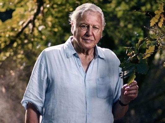 94 yaşında Instagram rekoru kıran David Attenborough kim?