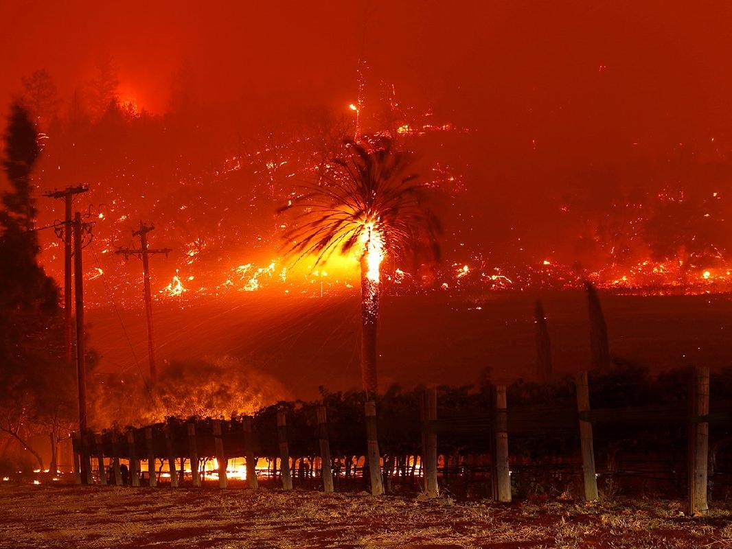 ABD'de yangın felaketi durdurulamıyor! Dakikada 5 hektarı kül ediyor