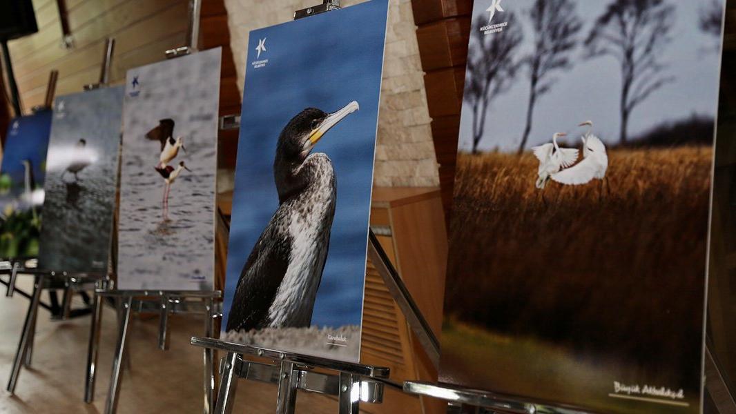 Küçükçekmece Gölü'nde yaşayan 166 kuş türünü tanıtan kitap yayınlandı 