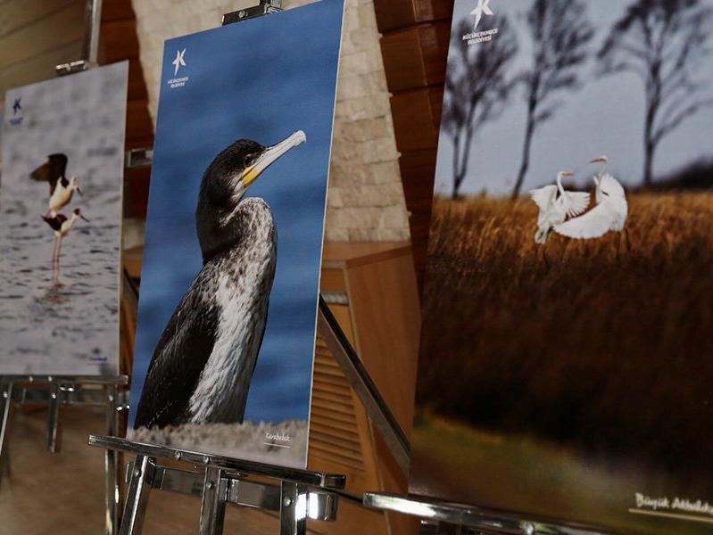 Küçükçekmece Gölü'nde yaşayan 166 kuş türünü tanıtan kitap yayınlandı 