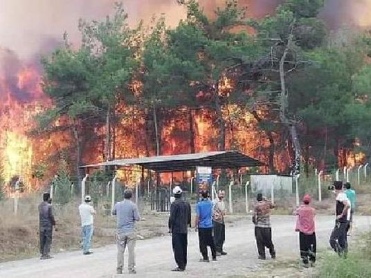 Kahramanmaraş'ta dün çıkan orman yangını kontrol altına alındı