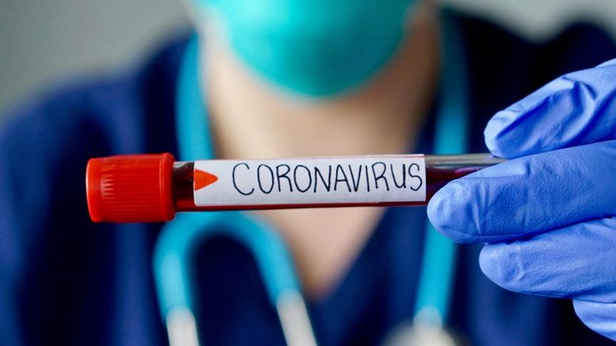 Yeni corona virüsü tehlikesi! 'İnsanlara bulaşma ihtimali yüksek'