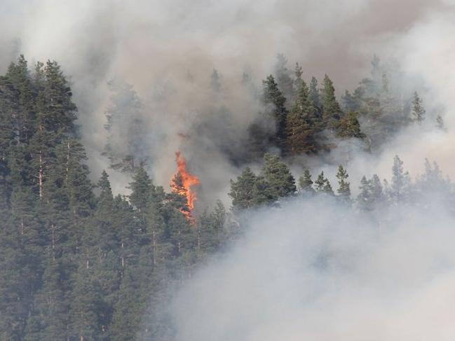 Kastamonu’da iki farklı noktada orman yangını! 3 gündür devam ediyor