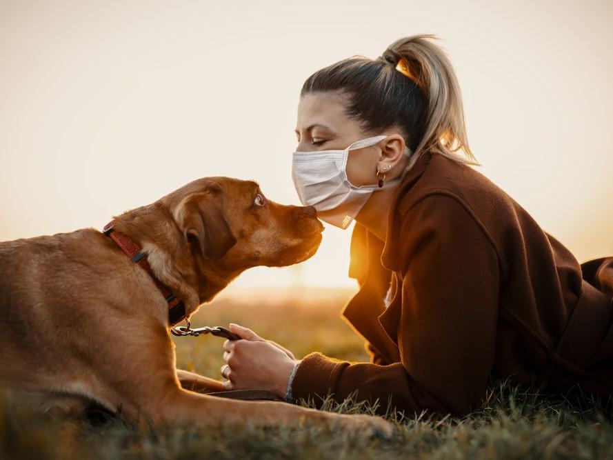 Bilim insanlarından köpek sahiplerine corona uyarısı: Risk daha fazla
