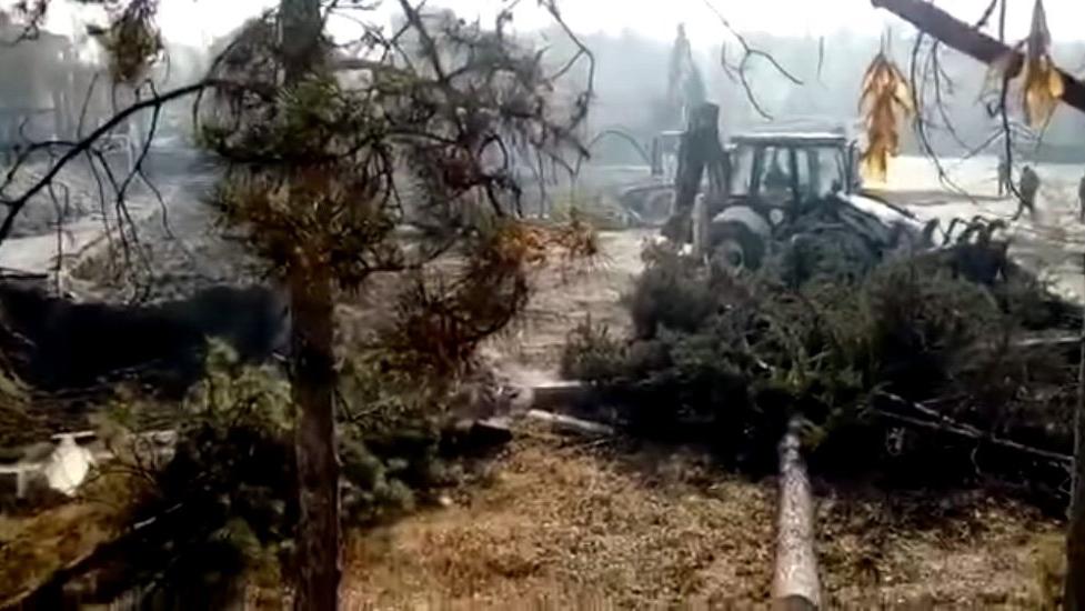 Sokağa çıkma yasağını fırsat bilip ağaçları böyle kestiler