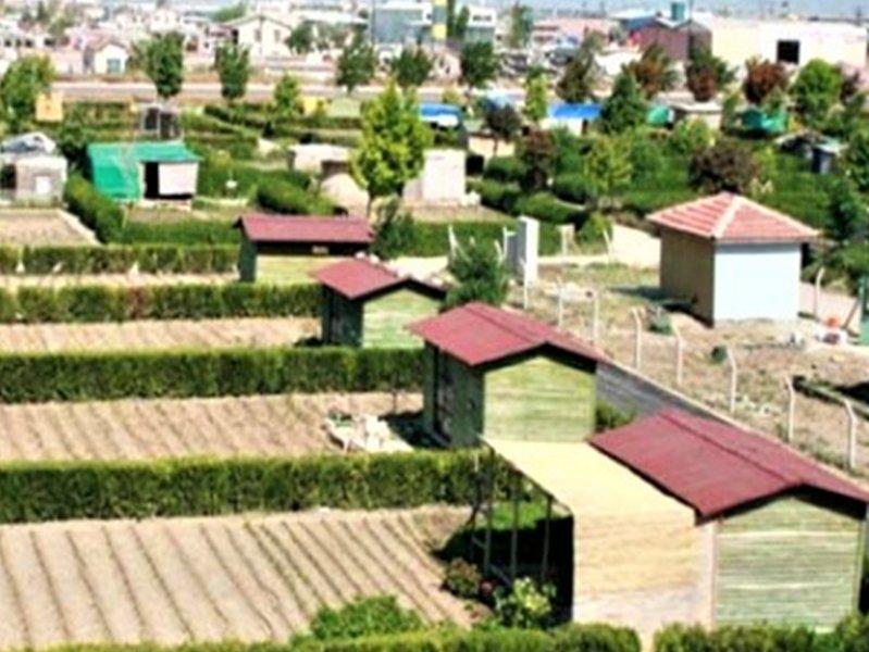 Türkiye'nin yepyeni bir sorunu: Hobi bahçeleri