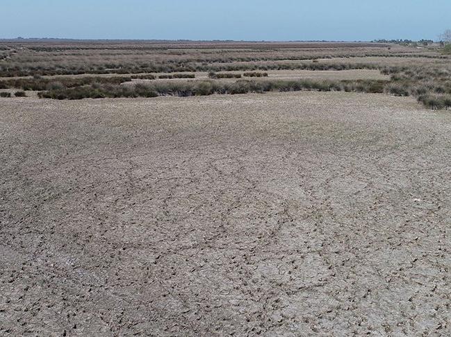 Kızılırmak Deltası'nda kuraklık tehlikesi