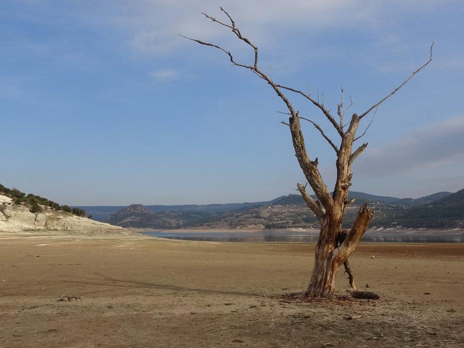 Uzman isimler Türkiye'nin kuraklığını anlattı: "Önümüzdeki süreç tarımsal kuraklık ve su kesintileri"
