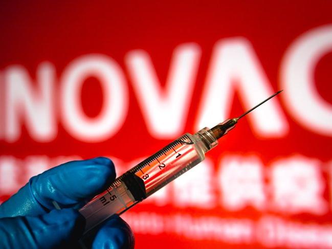 TTB: Sinovac aşısının Faz-3 ara dönem sonuçları sevindirici