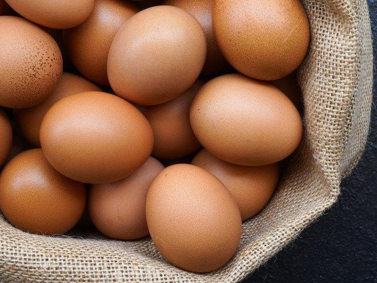 Pandemide yumurtaya talep yüzde 100 arttı