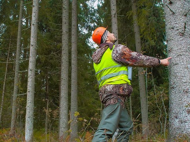 Anamur Orman İşletme Müdürlüğü orman yolu ihalesi yapacak