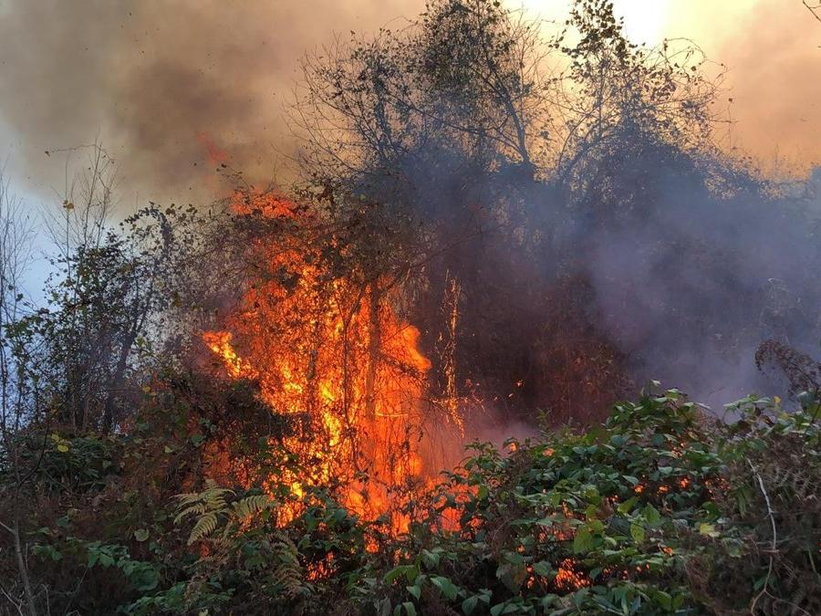 İki ayrı bölgede orman yangını! Müdahale edilemiyor