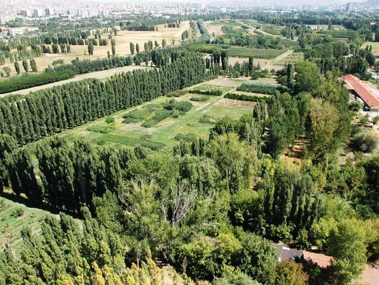 Atatürk Orman Çiftliği giderek yok oluyor