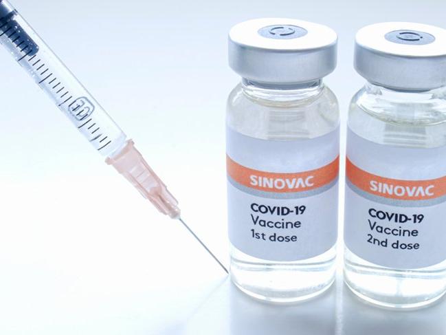 Sinovac'tan corona virüsü aşısının ikinci dozuyla ilgili açıklama