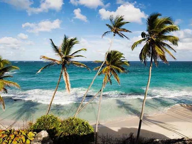 Barbados bir yıllık vize veriyor: 'Evden değil Karayipler'den çalışın'