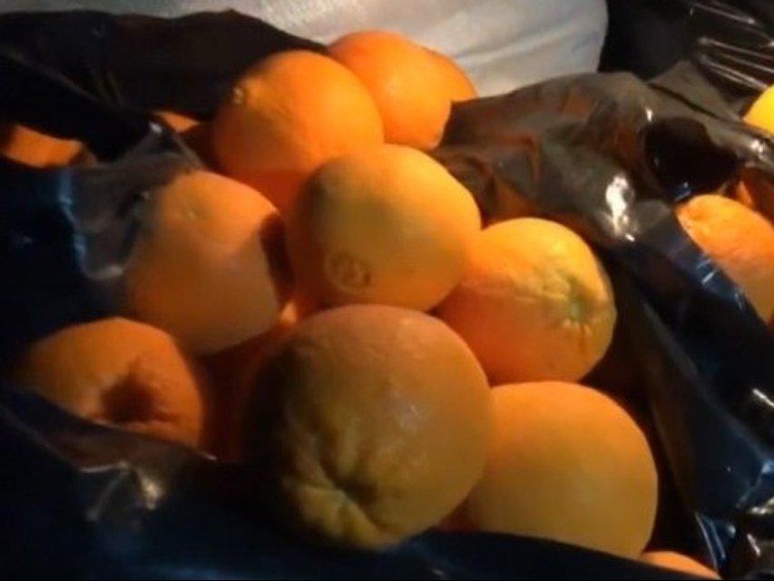 Bagaj ücreti istenince oturup 30 kilo portakalı tek seferde yediler