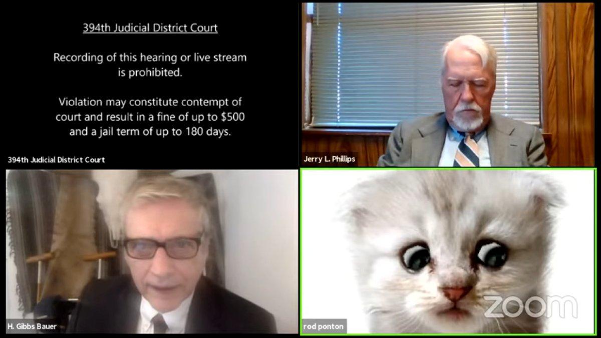Mahkemede filtre kazası: Avukat kedi olarak katıldı