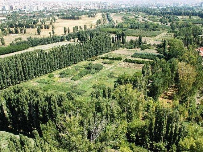 Atatürk Orman Çiftiği’nin 70 dönümü kiraya çıkarıldı