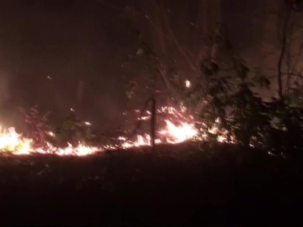 Korkutan orman yangını! Köylüler seferber oldu