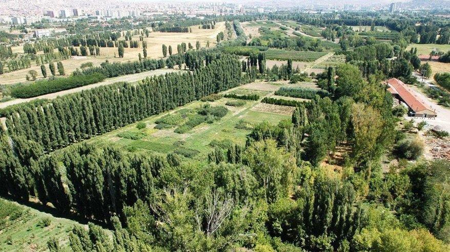 Mansur Yavaş, Atatürk Orman Çiftliği'nde talana izin vermedi