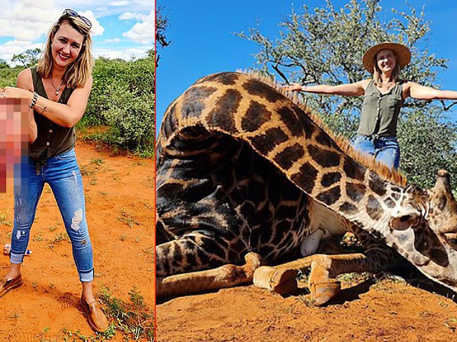 Hayvan hakları aktivistleri ayaklandı: Zürafayı vurup kalbiyle poz verdi