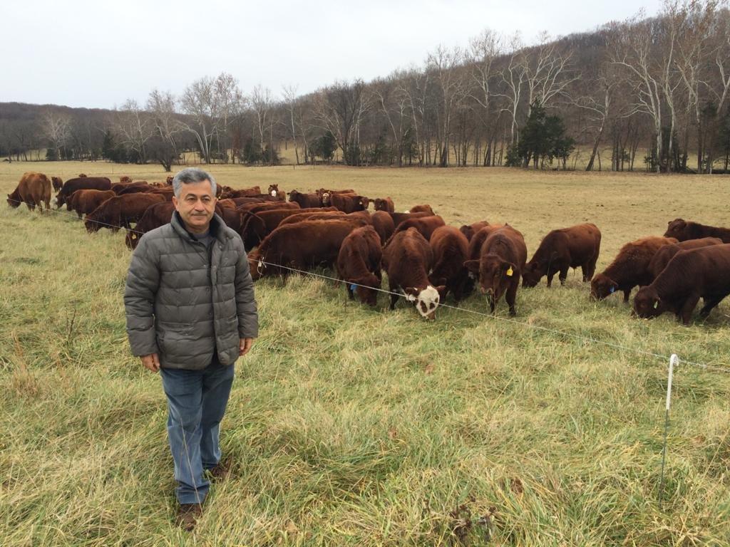 TOBB Hayvancılık Meclisi Başkanı Şahbaz: Besicilik bitiyor