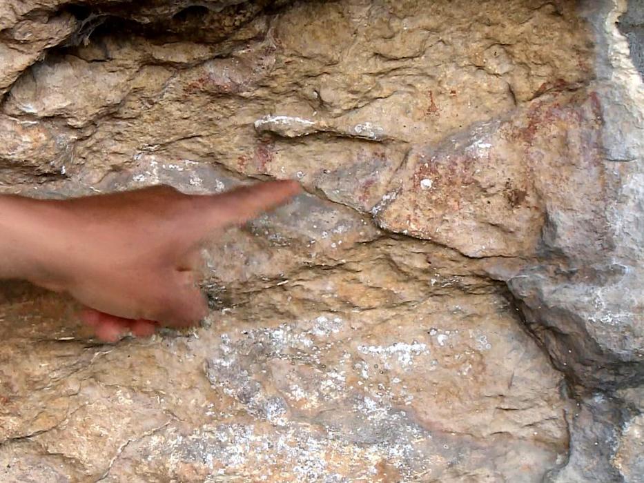 Mersinde 8 bin yıllık kaya resimleri keşfedildi