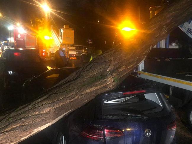 İstanbul'da ağaç otomobilin üzerine devrildi