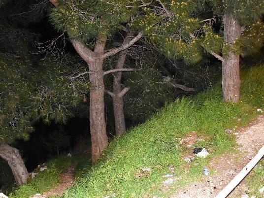 İzmir'de kan donduran olay: Kadına ait kafatası ve kaburga bulundu