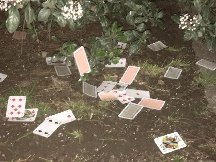 Polisin kumar baskınında oyun kağıtlarını camdan attılar