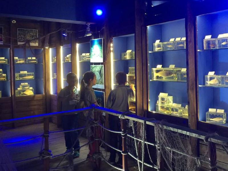 Mavi derinliğe eğlenceli keşif: Antalya Deniz Biyoloji Müzesi