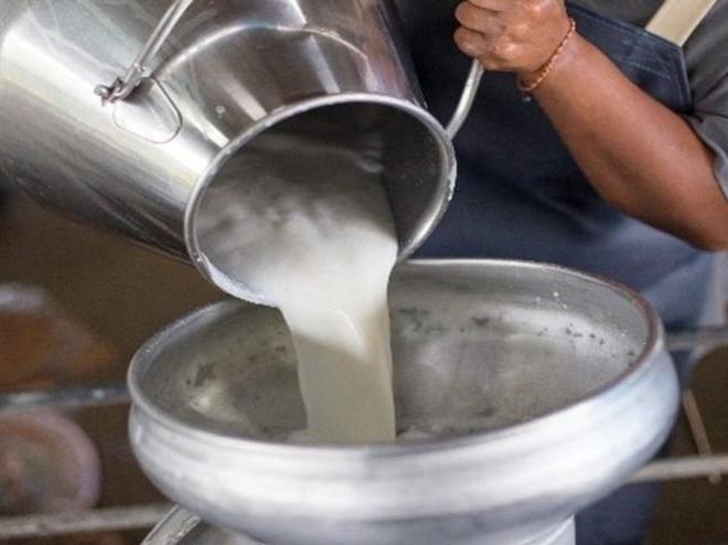 Süt üreticisine bir darbe de Tarım Kredi Kooperatifi'nden