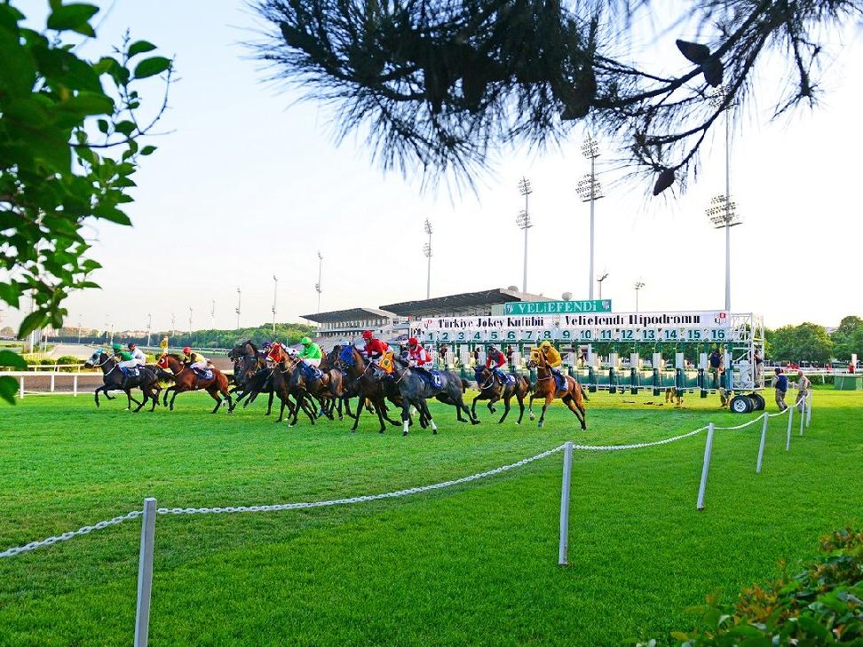 Türkiye'de atlar start hakemi emrine giriyor... İşte sezon programı