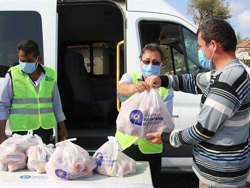 CHP’li belediye üreticinin elinde kalan elmaları satın alarak vatandaşa dağıttı