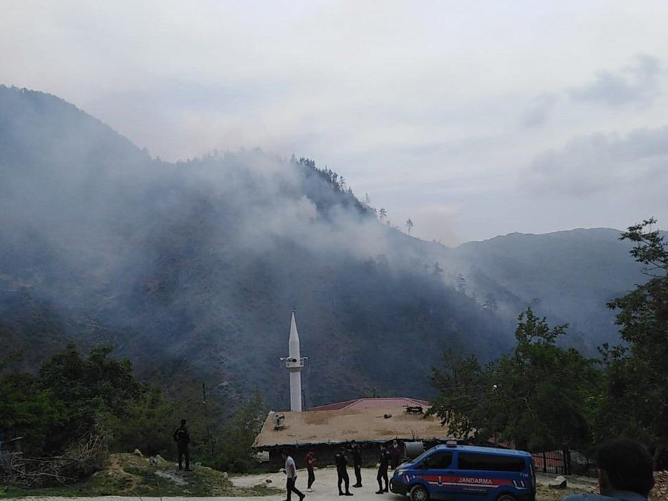 Osmaniye'de korkutan orman yangını