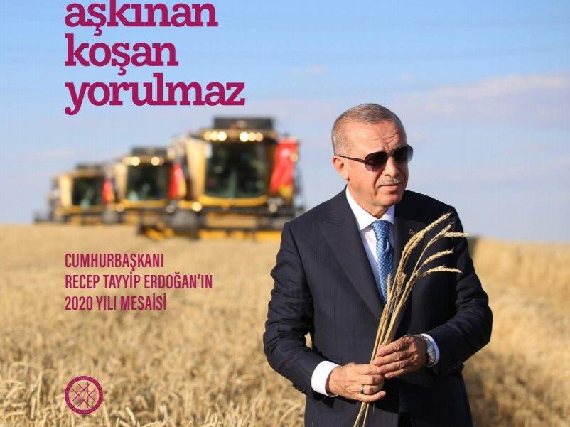 Erdoğan'ın bir yılı kitap oldu