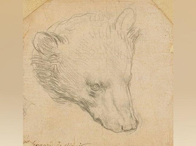Leonardo da Vinci'nin ayı çiziminin 12 milyon sterline satılması öngörülüyor