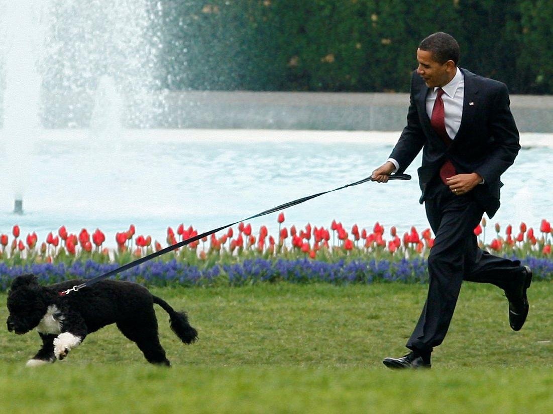 Obama'nın sevimli köpeği yaşamını yitirdi