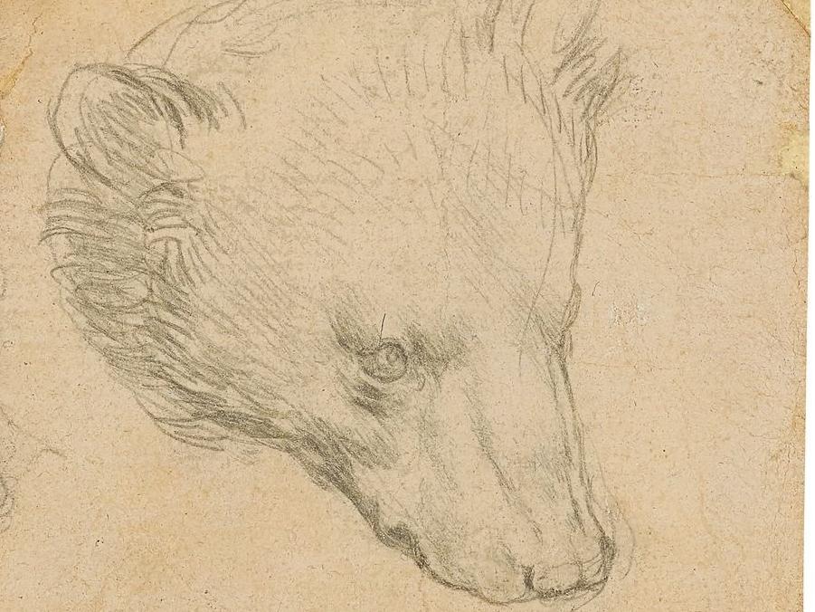 Leonardo Da Vinci’nin 16 milyon dolarlık saklı kalmış çizimi