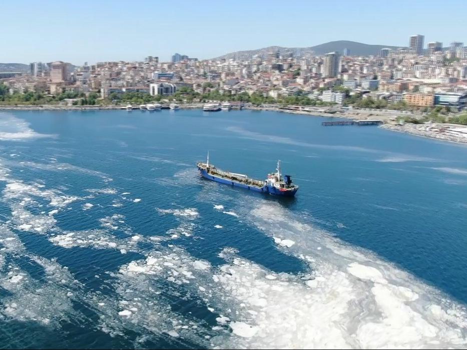 İstanbul sahillerini istila etti
