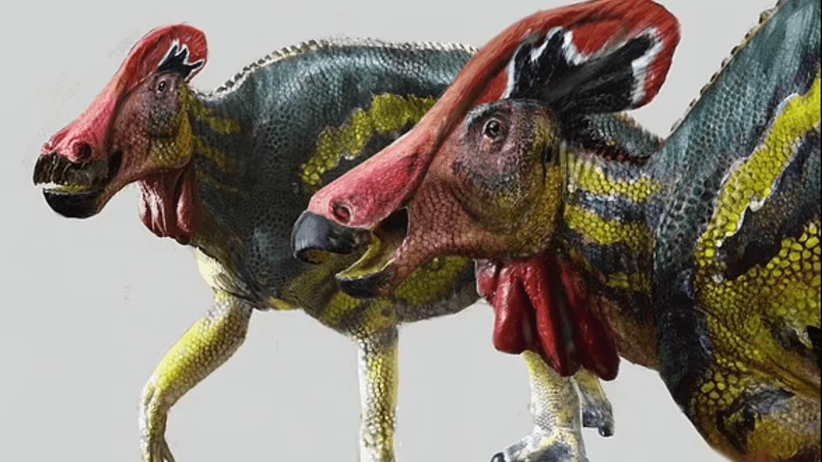 Meksika’da 73 milyon yıl önce yaşayan farklı bir dinozor türünün kalıntılarına rastlandı