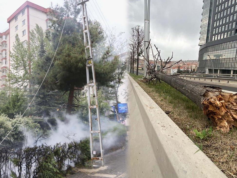 Ankara'da şiddetli rüzgar! Ağaçlar devrildi, elektrik telleri koptu 